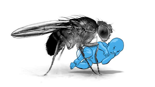 Image for article titled You Are Not a Fruit Fly: Why You Should Side-Eye Science Headlines