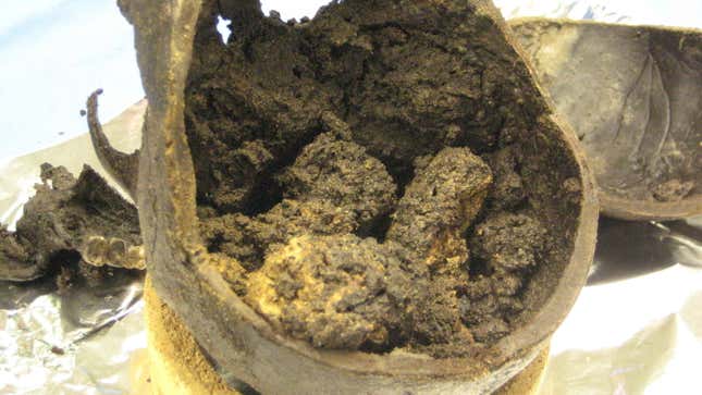 Because we know you can’t get enough of this brain, here’s yet another view of the mushy mass.