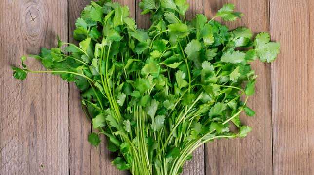 Image for article titled Why Do Some People Think Cilantro Tastes Like Soap?
