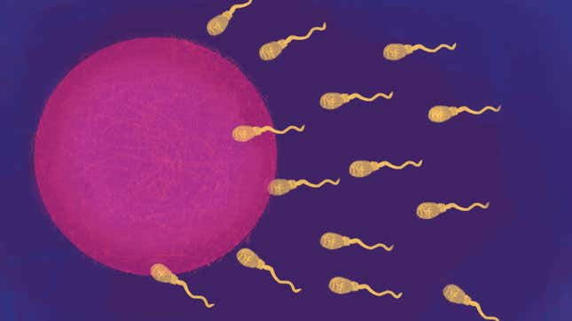Imagen para el artículo titulado Escrotos insólitos o erecciones de 9 días: los casos que entraron a forma parte de la literatura médica en 2019