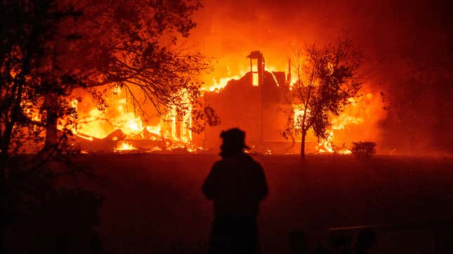 Image for article titled California&#39;s Reliance on Exploitative Prison Labor Has Weakened Its Wildfire Response