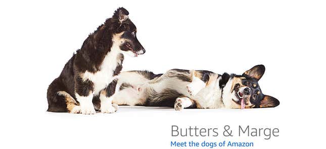Image for article titled Amazon's Error Dogs, Ranked