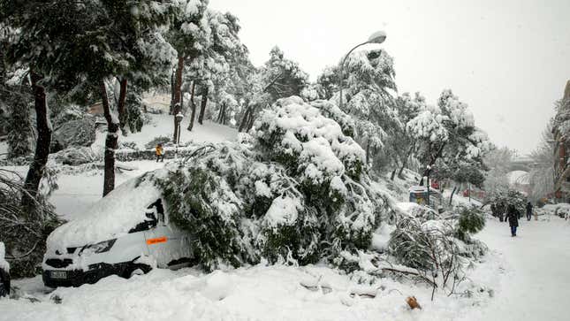 A tree has fallen on top of a car during heavy snowfall on January 09, 2021 in Madrid, Spain.