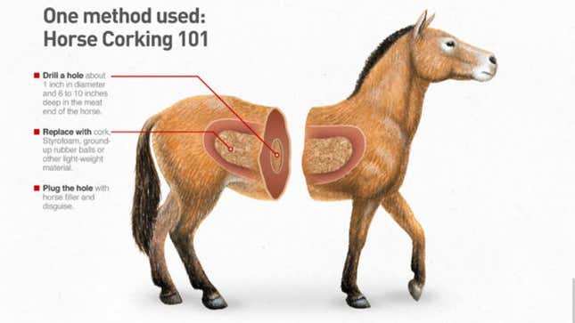 Image for article titled Horse Corking In Polo: What You Need To Know