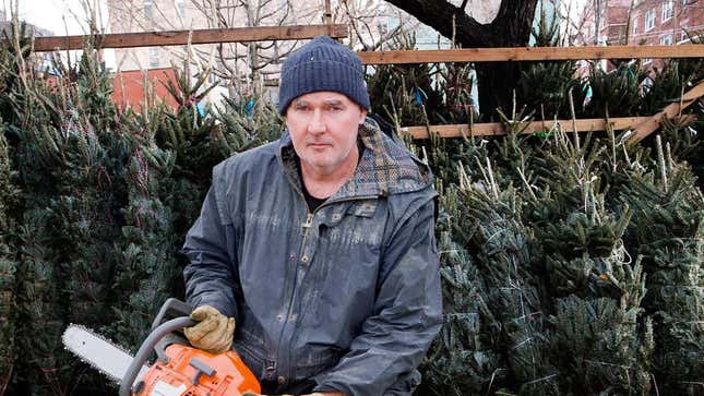 Image for article titled Terrifying Man Selling Dead Trees Out Of Middle School Parking Lot