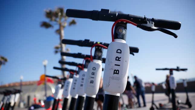 Bird Scooters Looking For Several Hundred Million More Dollars to Piss Away