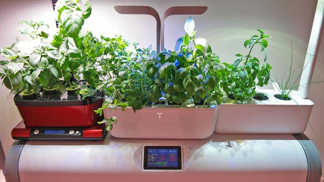 Image for article titled How Transforming My Apartment Into an Indoor Farm Turned Into a Very Bad Idea