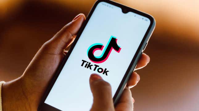 TikTok logo seen displayed on a smartphone