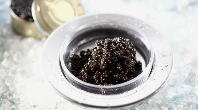 Image for article titled Psst! Want a deal on caviar? We got a guy