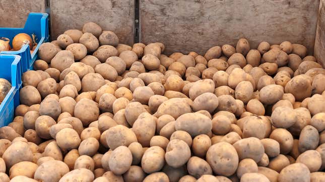 Image for article titled Have an abundance of potatoes? Make tartiflette