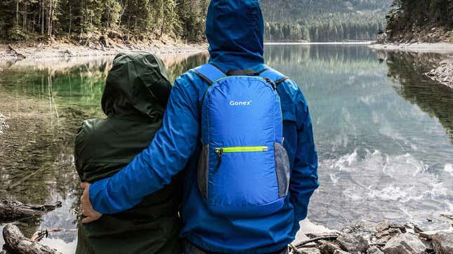 Gonex Ultralight Handy Travel Backpack