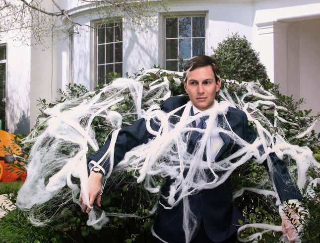 Image for article titled Jared Kushner Spends Fourth Consecutive Day Silently Ensnared In Decorative White House Spider Webs