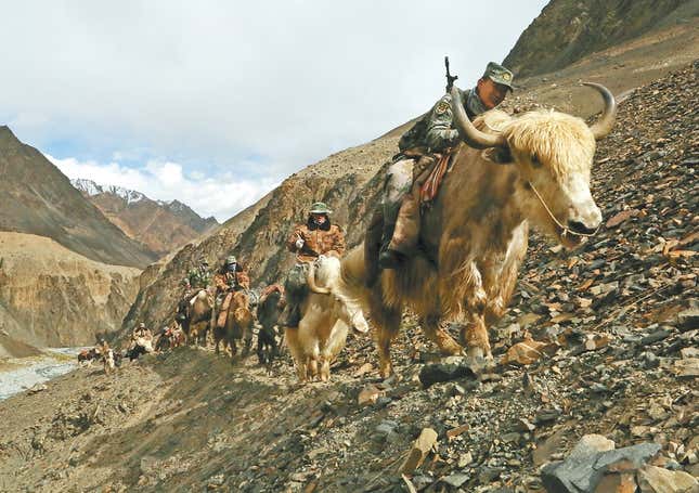 Image for article titled Why China’s Army Still Rides Yaks