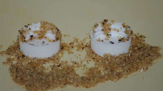 Descubren hormigas capaces de usar arena como herramienta para no ahogarse