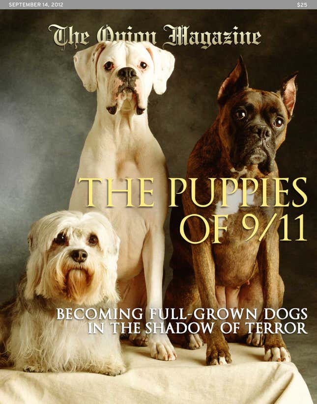 Image for article titled The Puppies Of 9/11: Becoming Full-Grown Dogs In The Shadow Of Terror