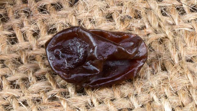 Image for article titled Embittered Raisin Won’t Shut Up About How It Could Have Been Wine