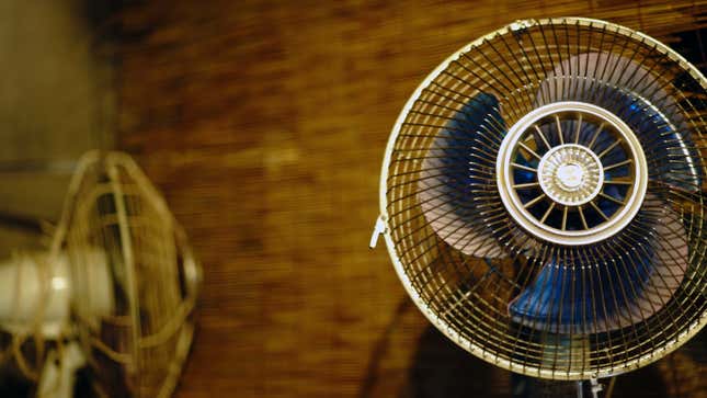Image for article titled Here&#39;s When Using a Fan Will Actually Make You Hotter