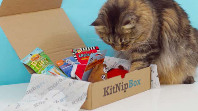 KitNipBox Subscription | $13 | Amazon GoldBox