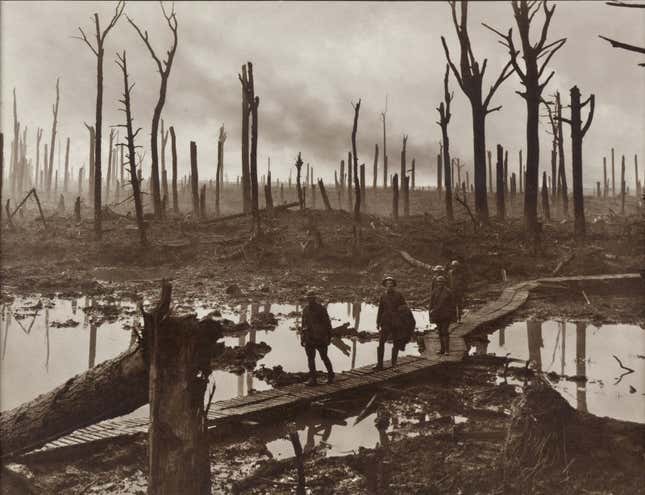 Australian soldiers passing through Chateau Wood, Belgium, in October 1917.