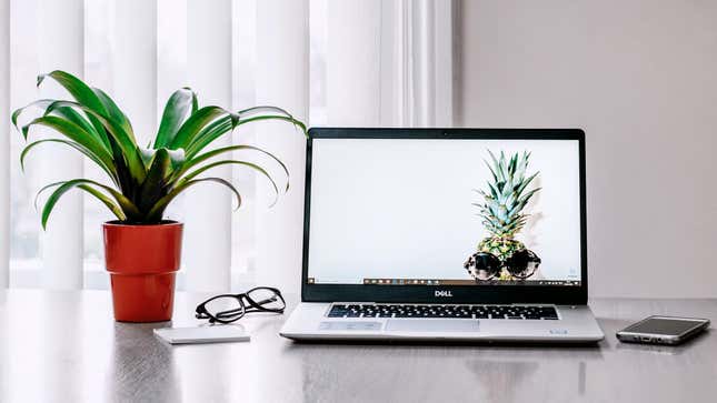 Image for article titled Make Your Home Office a More Productive Place With Houseplants