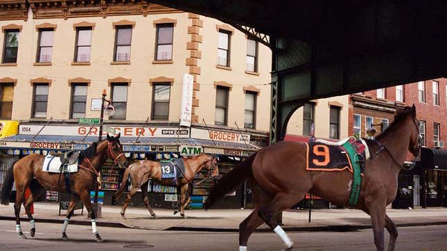 Image for article titled New Horse-Racing Initiative Aimed At Training Thoroughbreds From Inner City