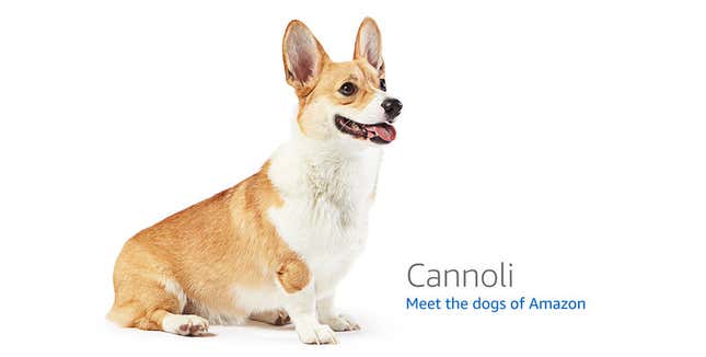 Image for article titled Amazon's Error Dogs, Ranked
