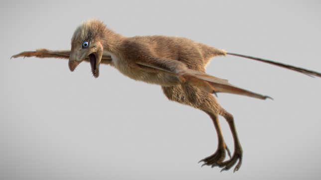 Digital reconstruction of Ambopteryx longibrachium. 