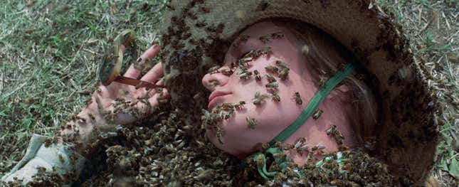 Worst picnic ever.