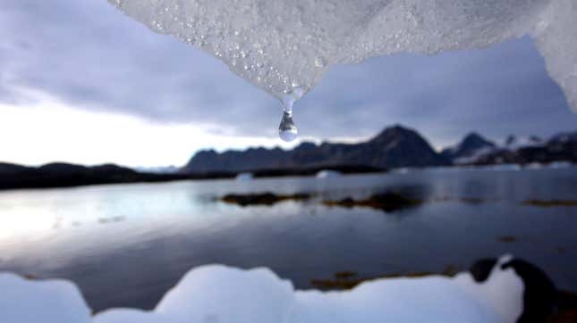Image for article titled A Weather Station Above the Arctic Circle Hit 94.6 Degrees Fahrenheit