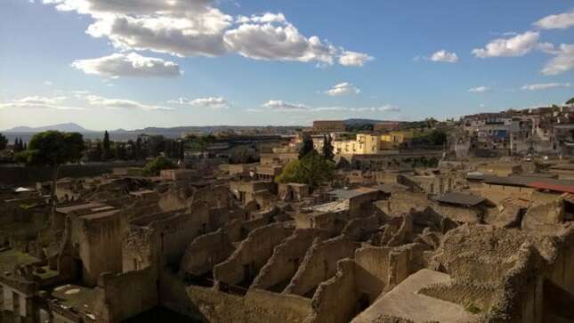 Hallan tejido cerebral preservado en una víctima de la antigua erupción del Vesubio