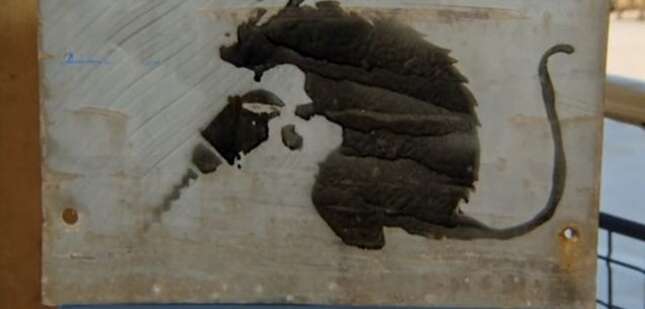 Imagen para el artículo titulado Si robas un Banksy no lo lleves a un tasador en televisión, te puede pasar como a este señor