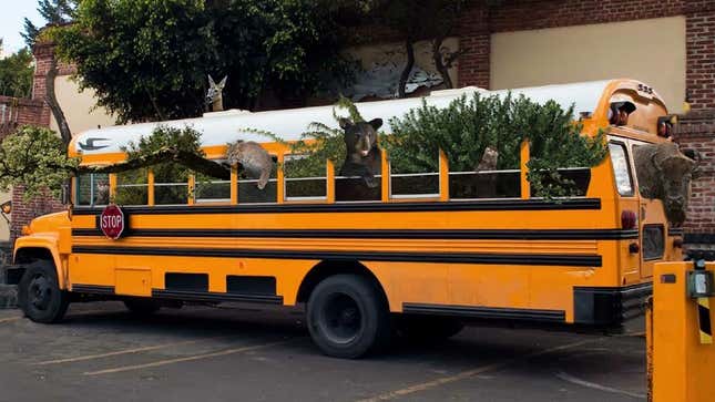 Image for article titled New Biodiversity Program Busses In Species From Outside Ecosystems