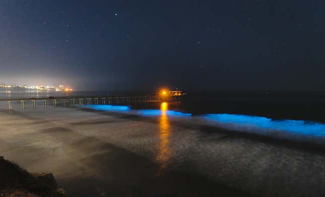 Bioluminescent Waves Draw Crowds to California Beaches