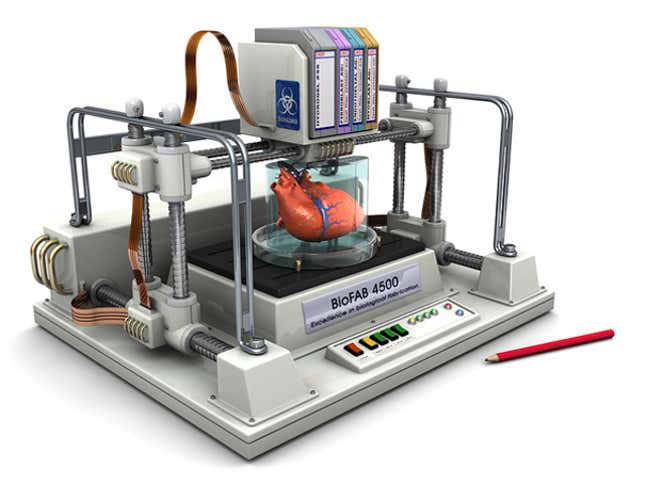 Image for article titled How We'll Finally Put An End To Organ Donation Shortages