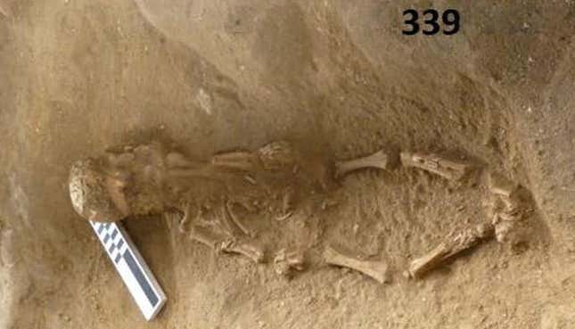 The buried remains of an infant aged between 6 and 9 months old at the time of death.