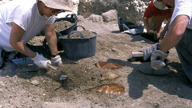 Image for article titled Archaeologists Discover First Hominid To Own Tools But Never Use Them