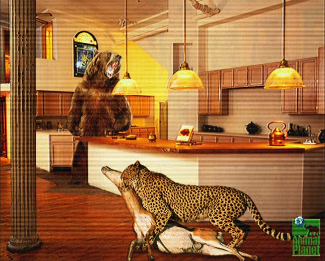 Two cast members have a heated argument on The Animal Planet's new reality show<I> The Zoo.</I>