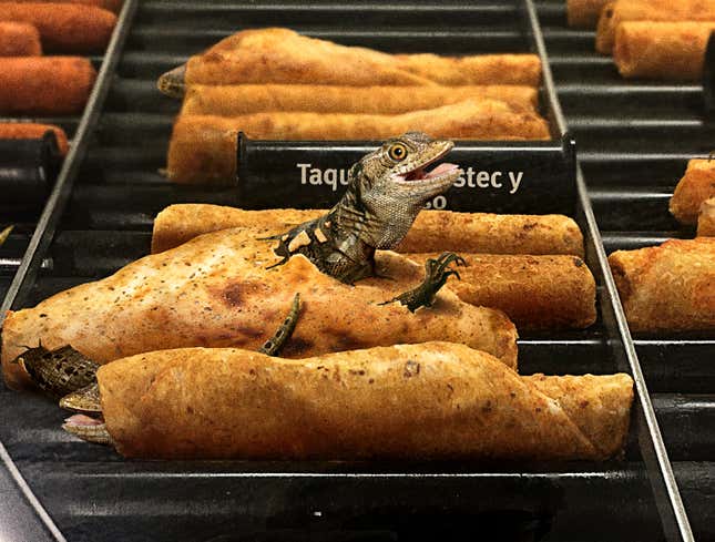 Image for article titled Taquitos Finally Hatch After Days Under Heat Lamp