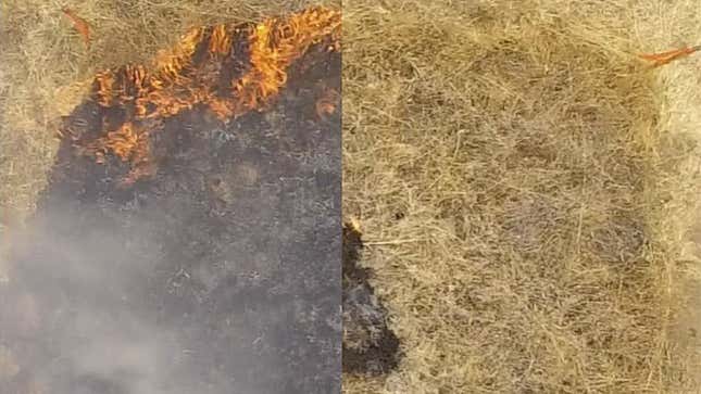 Imagen para el artículo titulado Este nuevo gel que se pulveriza como un spray podría ayudar a prevenir grandes incendios