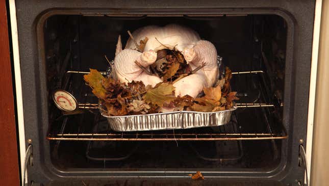Image for article titled How To Cook A Perfect Thanksgiving Turkey