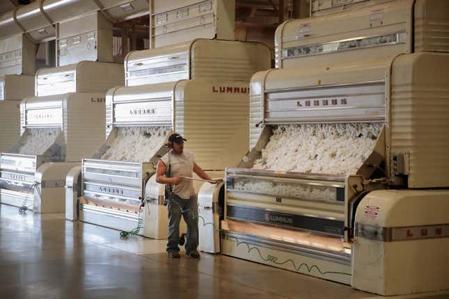 Cotton is cleaned of seeds and plant waste, dried and compressed into bales at Wilson Gin on October 30, 2017 near Wilson, Arkansas.