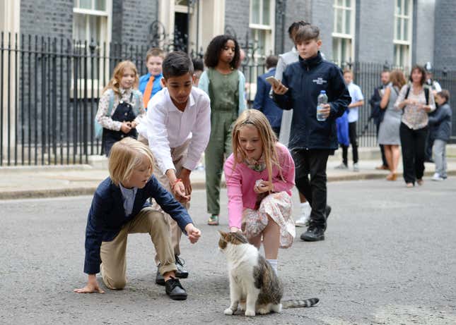 Image for article titled Make the Cat Prime Minister