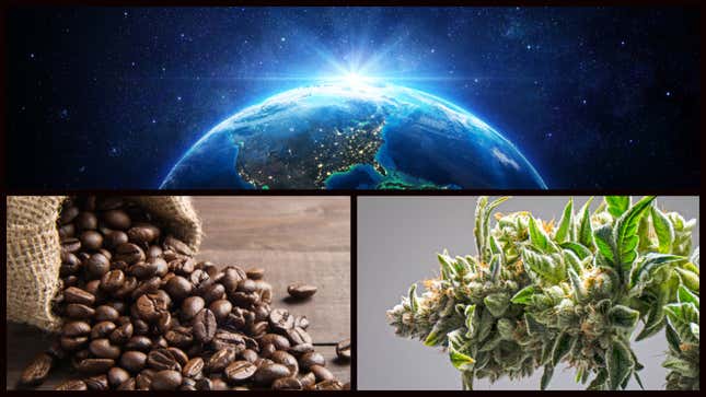 Earth's two most important crops—weed and coffee—are heading to space