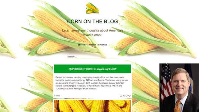 Image for article titled Vilsack Reprimanded For Spending Work Hours Writing Corn Blog