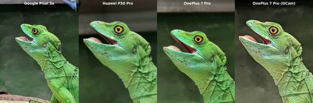 Imagen para el artículo titulado Hemos puesto a un inútil a sacar fotos con el Huawei P30 Pro, el OnePlus 7 Pro y el Pixel 3a. Este es el resultado