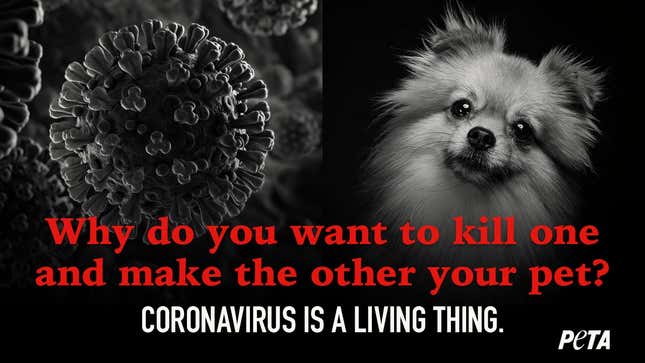 Image for article titled PETA Quietly Testing ‘Coronavirus Is A Living Thing’ Ad Spots In Few Small Markets