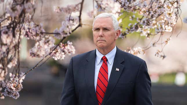 Image for article titled Mike Pence Horrified By D.C. Cherry Trees Flagrantly Displaying Reproductive Organs
