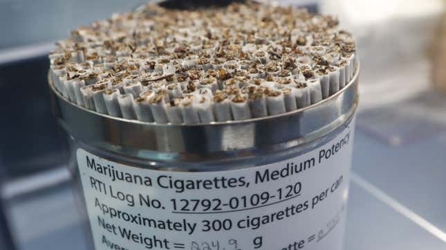 Image for article titled Surgeon General Warns America That 21st-Century Weed Can Really Fuck You Up