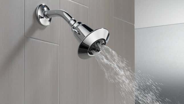 Delta 75152 Shower Head | $18 | Amazon