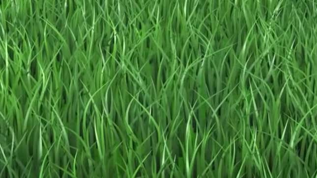 Image for article titled 10 Clumps Of Grass In Video Games